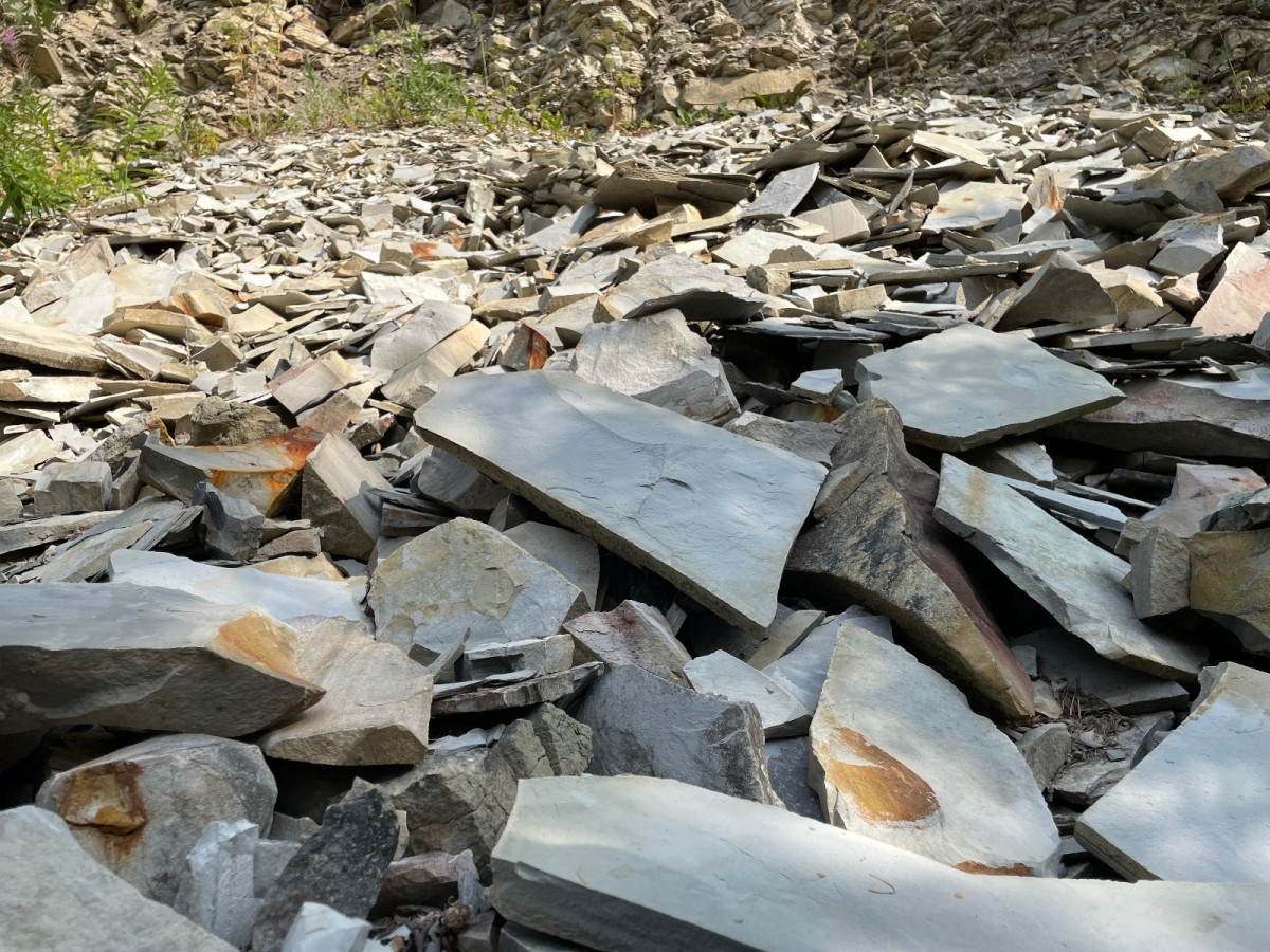 В Республике Коми будет создана новая особо охраняемая природная территория