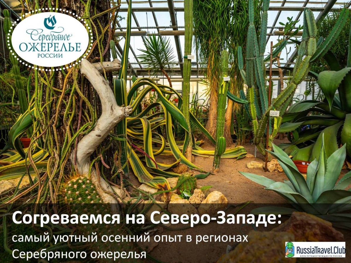 Согреваемся на Северо-Западе: самый уютный осенний опыт в регионах Серебряного ожерелья